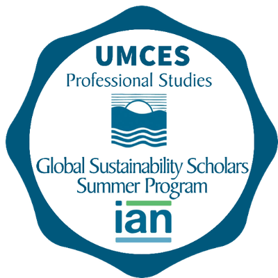Global Sustainability Scholars