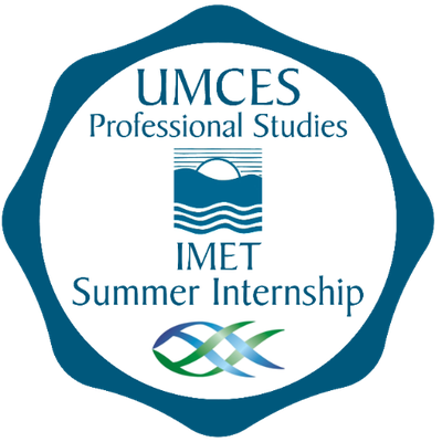 IMET Summer Internship