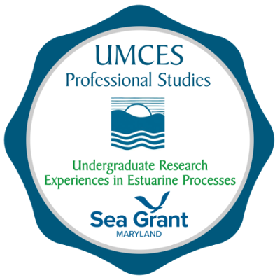 Undergraduate Research Experiences in Estuarine Processes